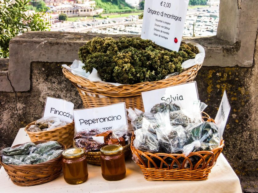 Czystek: właściwości, zastosowanie, opinie