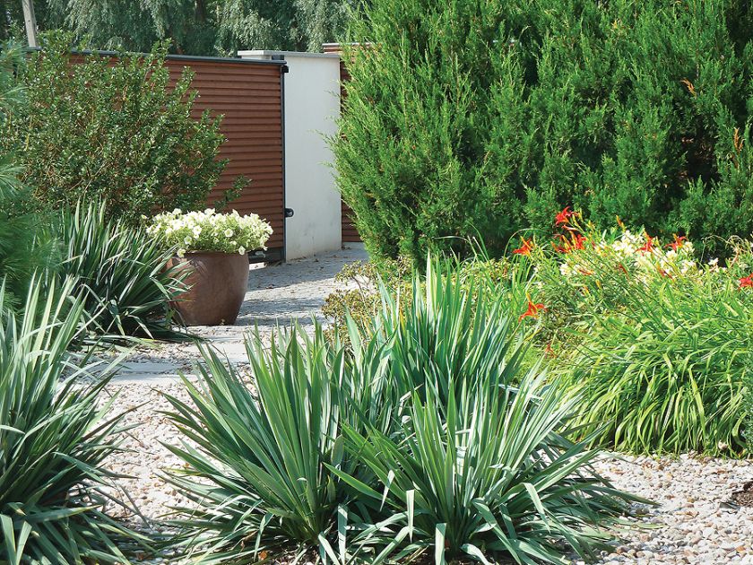 Drzewa i krzewy przyjechały już duże. Kosić trzeba tylko trawnik, wszystko inne rośnie samo jak na drożdżach. Oto ogród