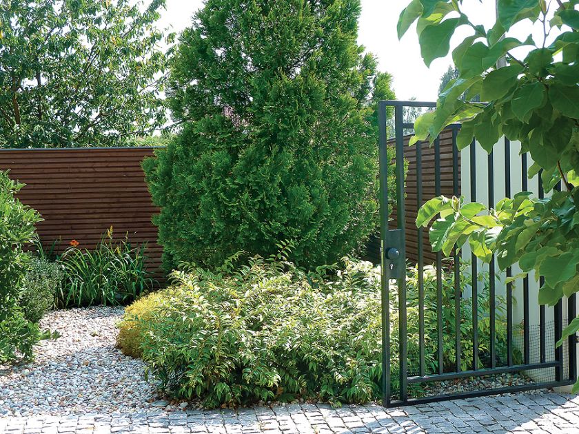 Drzewa i krzewy przyjechały już duże. Kosić trzeba tylko trawnik, wszystko inne rośnie samo jak na drożdżach. Oto ogród