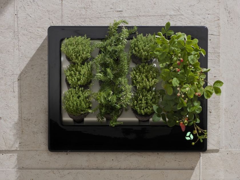 Florabo, Florama, fot. Lódź Design 2012