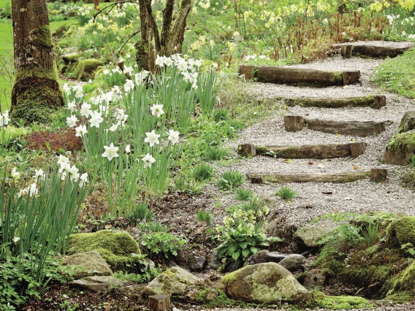 Milion i jeden narcyzów