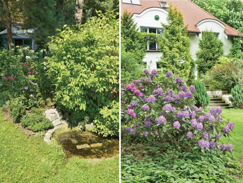 Dla motyli przez cały rok kwitną kwiaty, a za ziołowym ogródkiem – pokrzywy.