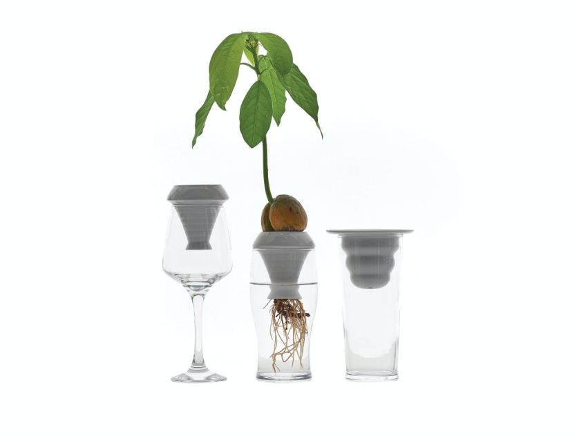 Plantacja Alicja Patanowska