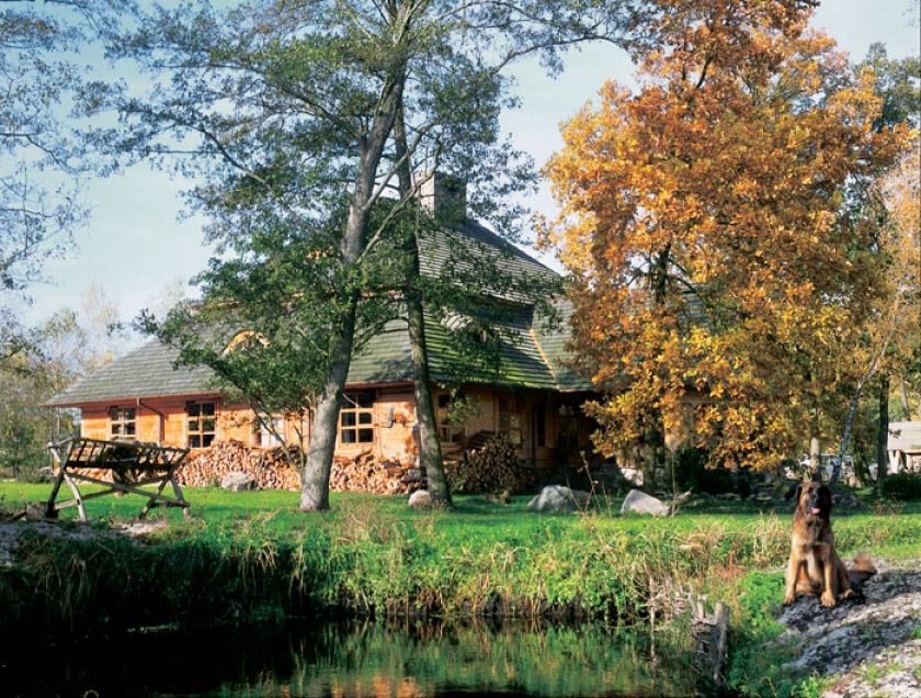 Przy domu suszy się drewno do kominka.