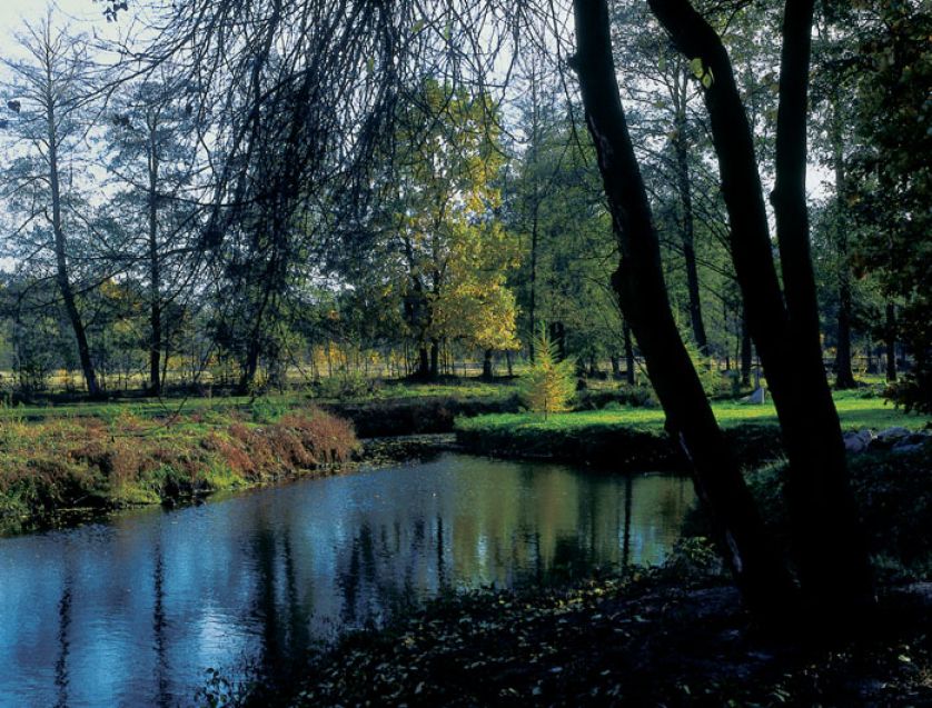 ? To by­ło jed­no wiel­kie, peł­ne ko­ma­rów mo­kra­dło. By­łam prze­ra­żo­na ? doda­je Ela ? Ale Pio­trek uparł się, że
