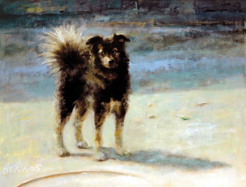 Piotr Pilawa: kocie zaułki. Piotr Pilawa: kocie zaułki