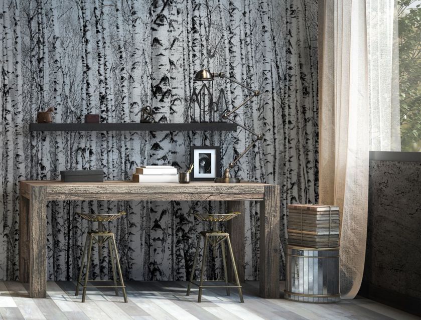 Fototapeta z brzozami, czyli nowe właściwości znanego drzewa