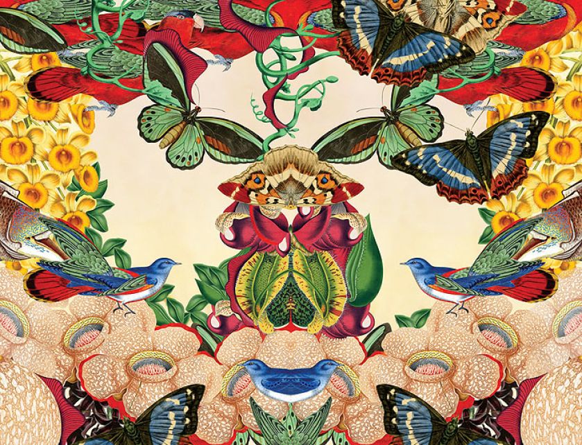 Inna strona lustra, 2011 r. Botaniczne grafiki Bożki Rydlewskiej