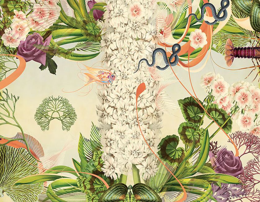 Botaniczne grafiki Bożki Rydlewskiej