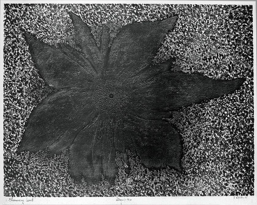 Henryk Opałka Słoneczny kwiat , 1986 r.