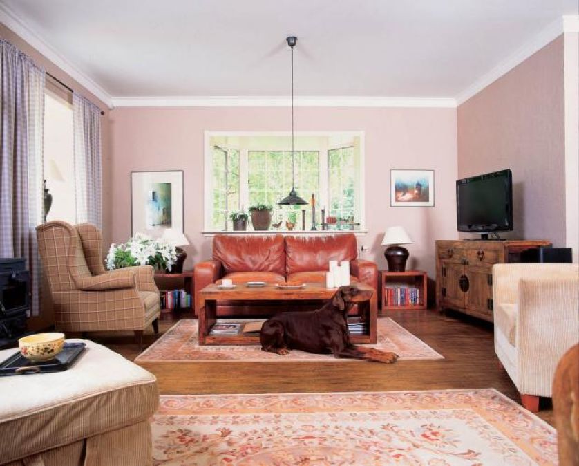 Pies właścicieli w salonie. U właścicieli Belbazaar