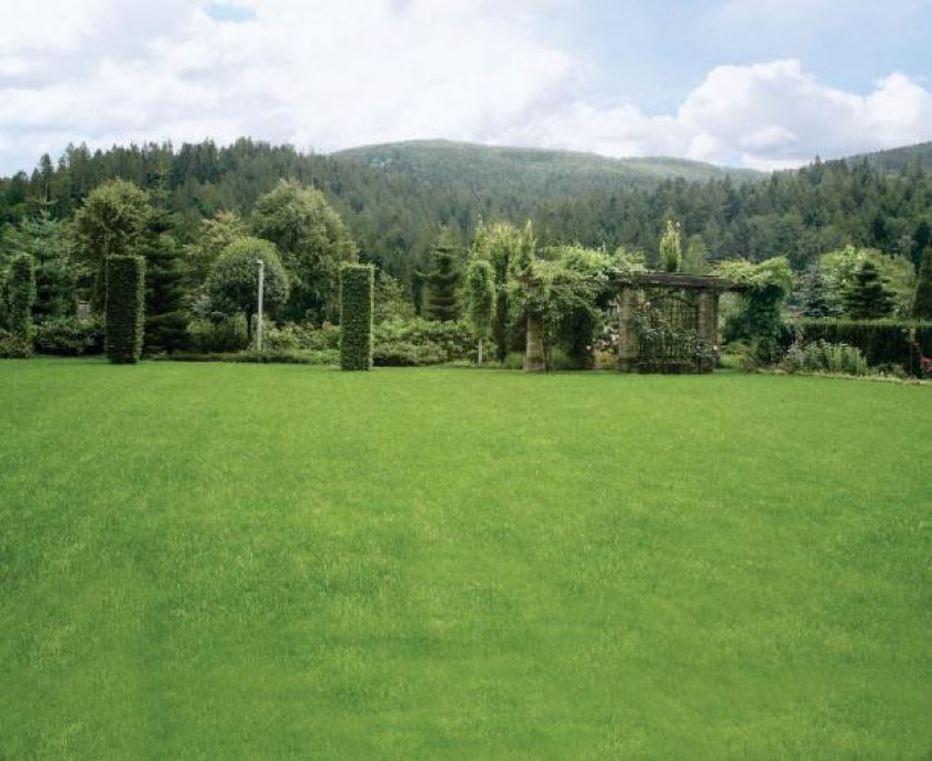 Ogród ukryty wśród gór. Tarasowy ogród otoczony naturą