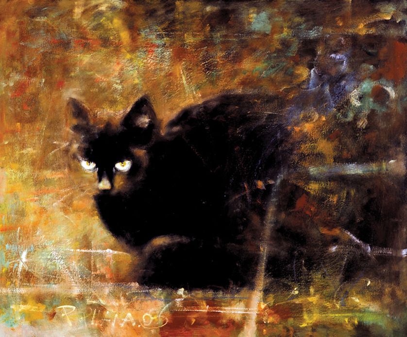 Piotr Pilawa: kocie zaułki. Piotr Pilawa: kocie zaułki