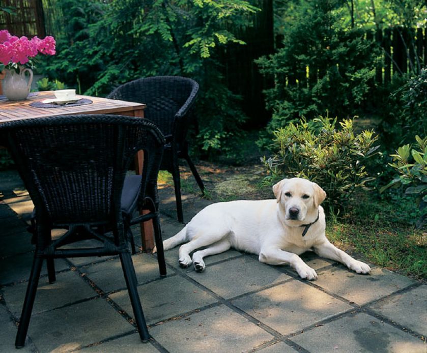 Trzy ogródki, jeden od strony wjazdu, drugi kameralny za domem, a trzeci w patio, sprawiają wrażenie, jakby zieleni było