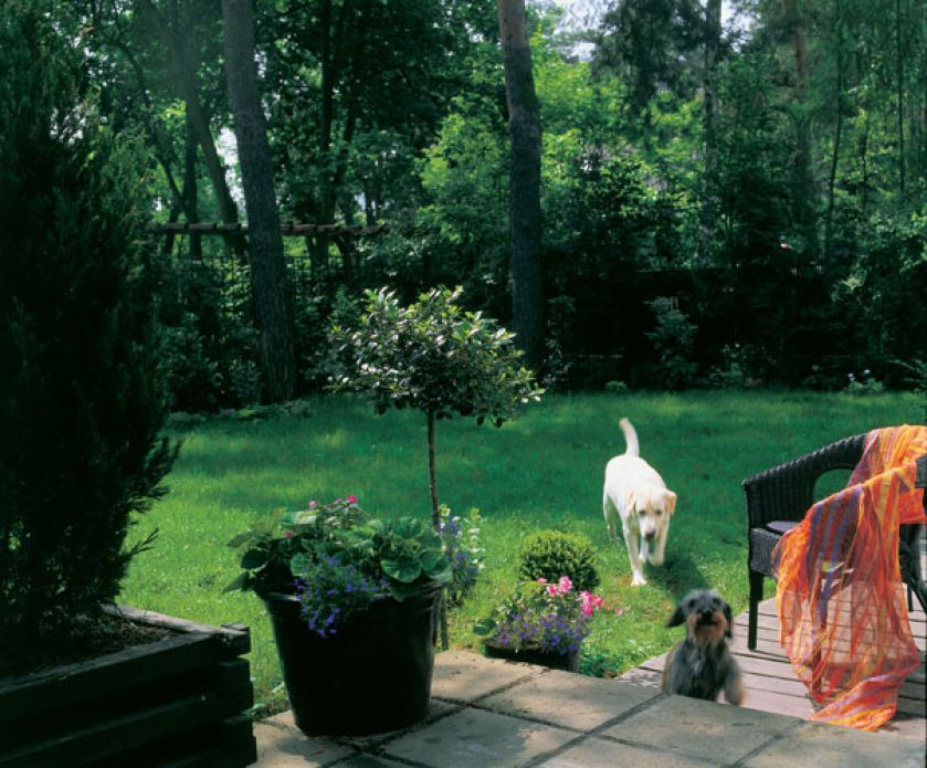 Labrador nazywa się Bisou, od francuskiego słowa całus , na jamniczkę wołają Sunia.