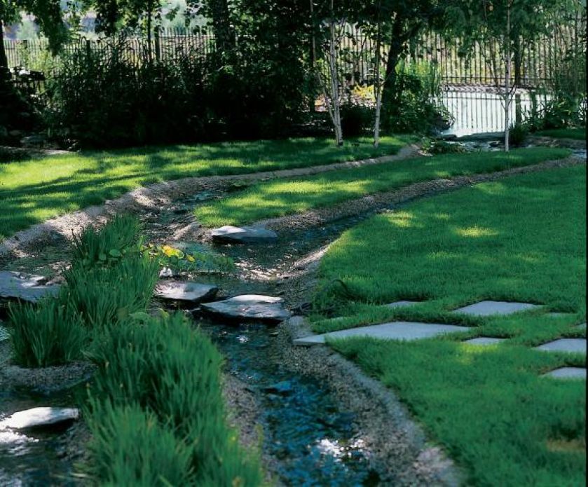 Przejście przez strumień umożliwiają płaskie kamienie.