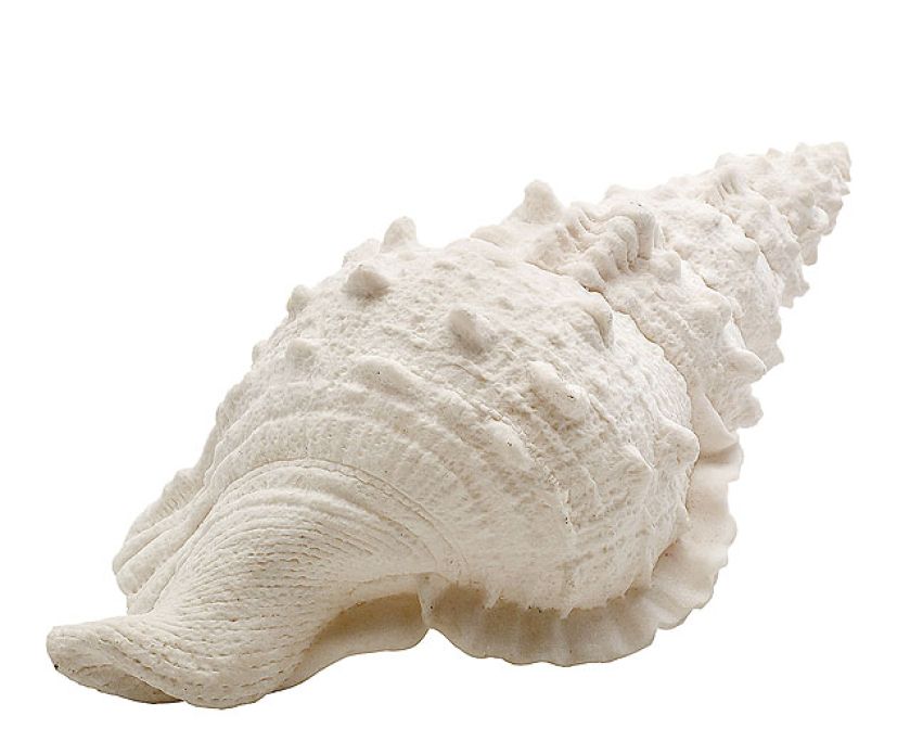 Z wakacyjnym luzem mu do twarzy. Ale nie zawsze tak było. Marynarski styl powstał niechcący i przy okazji zupełnie