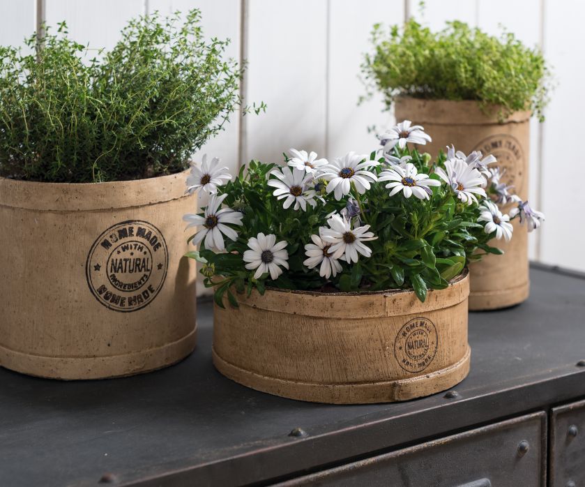 Osłonki zbite na wzór drewnianej misy, w środku wyścielone folią. Sprawdzą się jako balkonowe zielniki