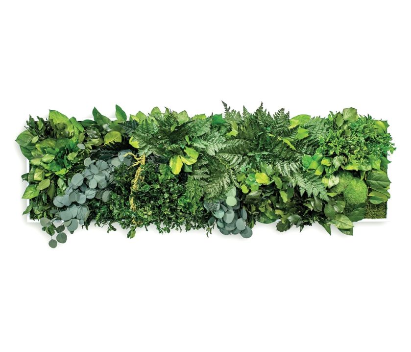 Ogrody wertykalne – wiecznie zielone ściany