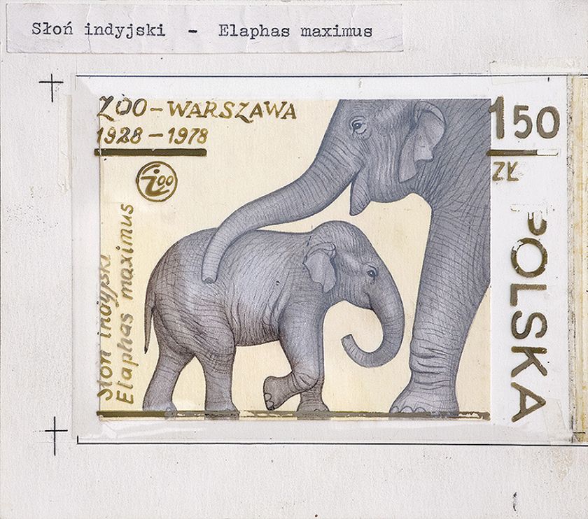 Projekt znaczka pocztowego z serii 50-lecie warszawskiego zoo , 1978 r.