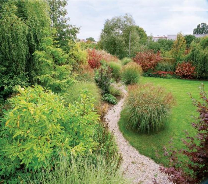 Żwirowa ścieżka gubi się w gęstwinie kolorowych traw. OGRODY DANKIEWICZ