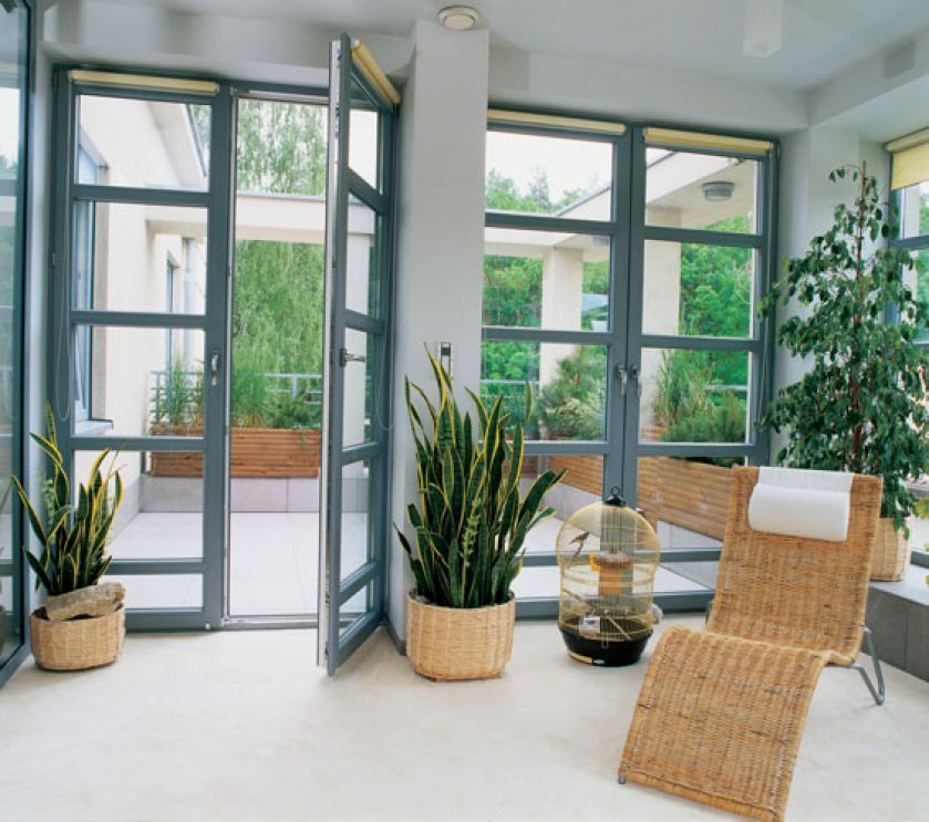 W oranżerii była na początku terakota i gąszcz bambusów- ładnie, ale zimno. Nikt nie lubił spędzać w niej czasu.