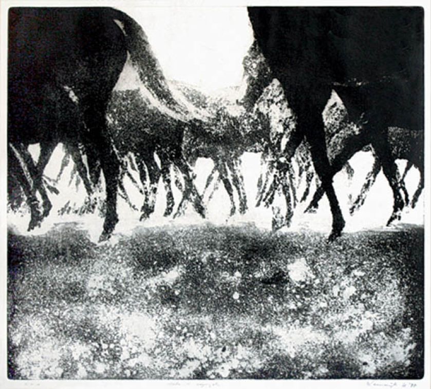 Bez tytułu , akwatinta, 1977. Ballada o koniu
