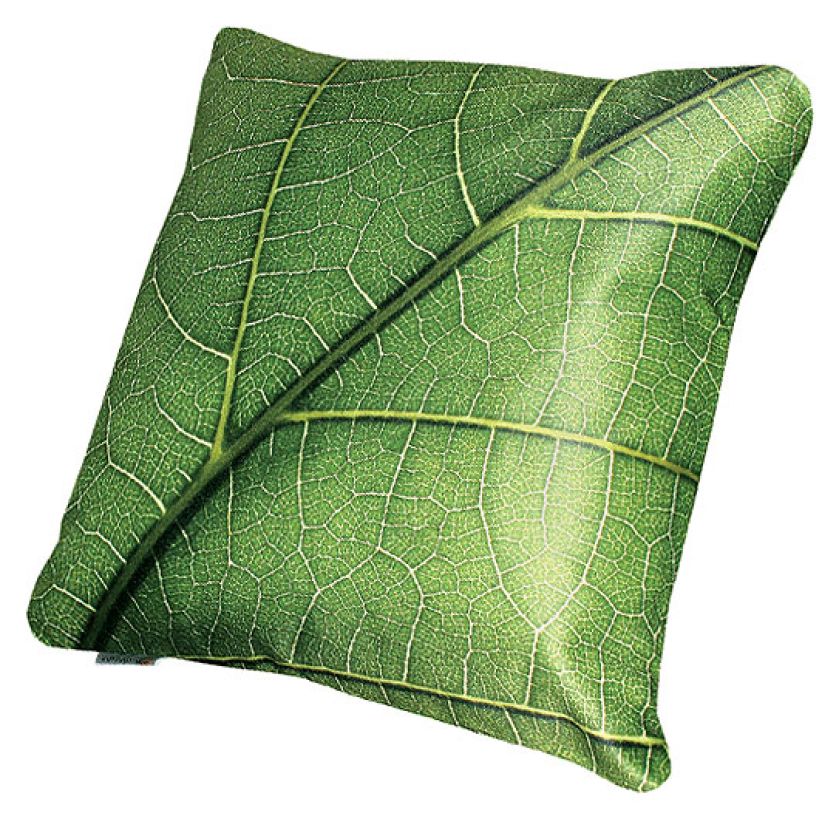 Cena 105 zł. PAKAMERA. Jesienne inspiracje