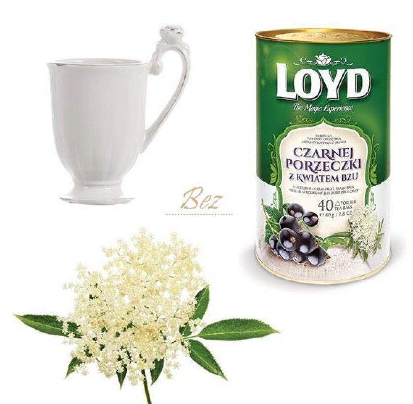 Herbata: Loyd, Mokate, kubeczek Fiorile, Blanc MariClo