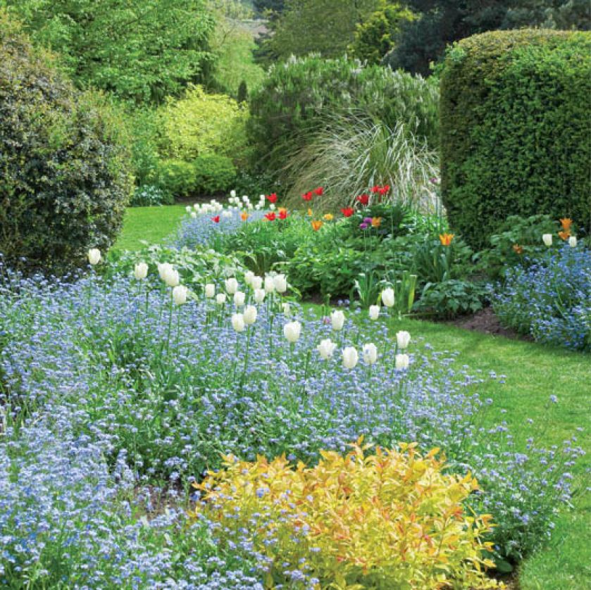 W tle możemy podziwiać trawę miskant.