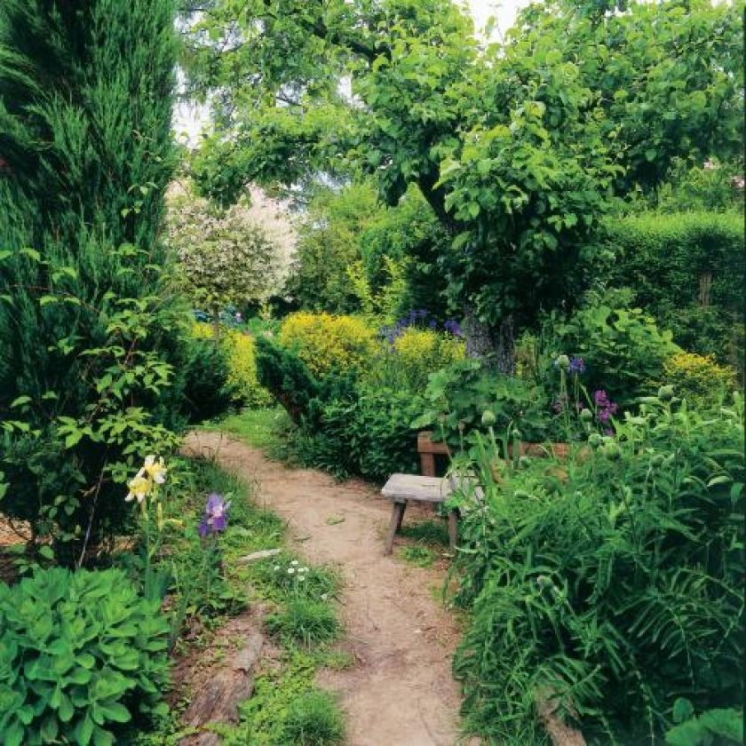 Drewniana ławeczka obok ścieżki. Nad kryształowym stawem - stary ogród przywrócony do życia