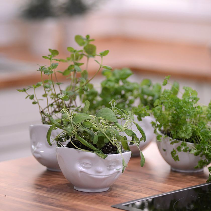 Kolekcja 58Products. Śniadanie z uśmiechem