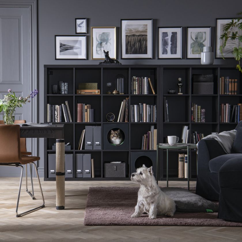 legowiska i akcesoria dla psa i kota