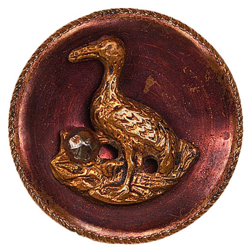 Guzik z drapieżnym ptakiem, fot. Shutterstock.com