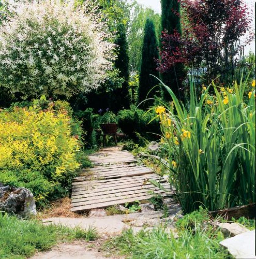 Przerzucone przez wodę mostki ze starych, nierównych desek przypominają wiejskie groble.