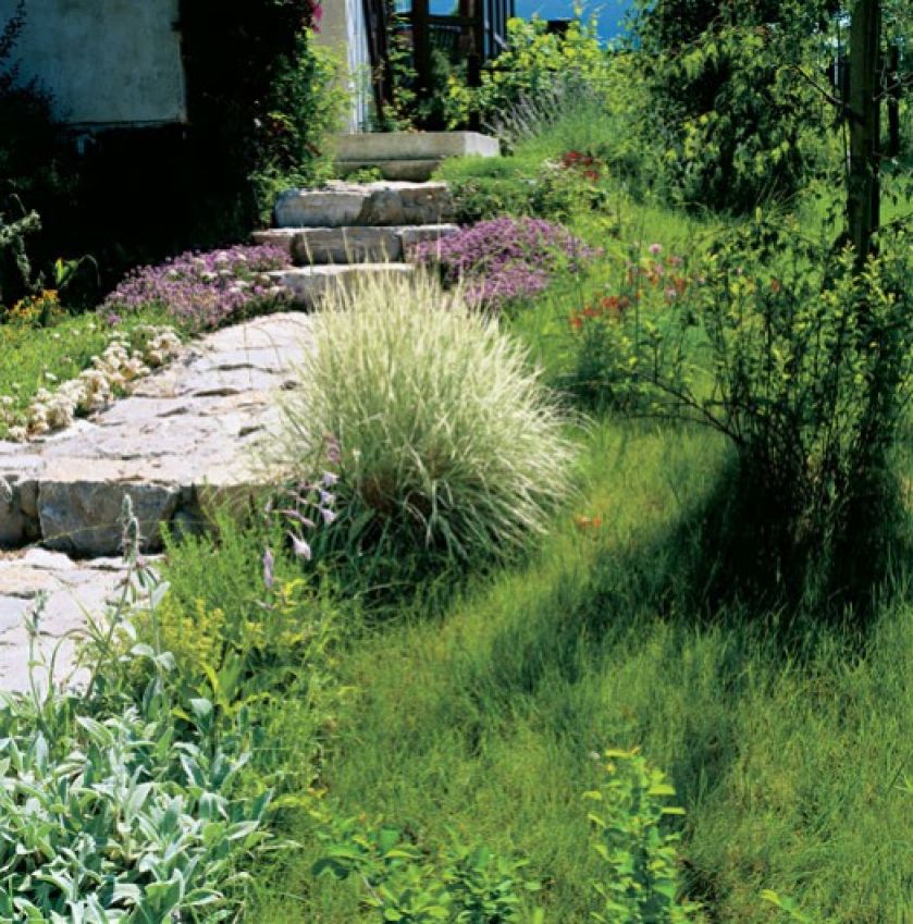 Ścieżki Marek zbudowal z wapienia, który pozostał po budowie domu. O skalniaki dba Jola.