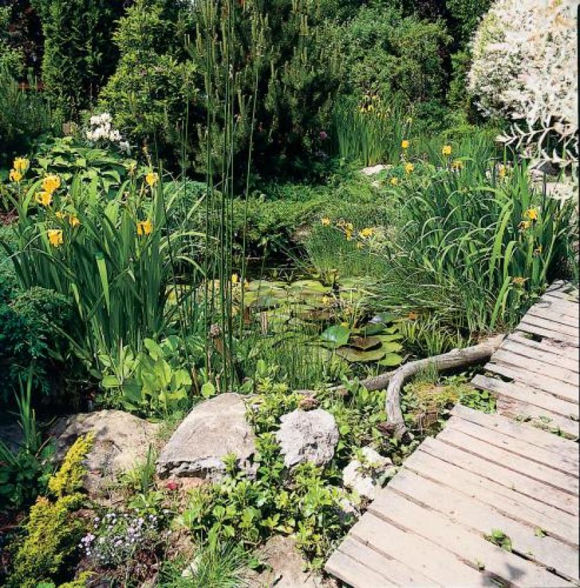 Ogród sprawia wrażenie na wpół dzikiego.