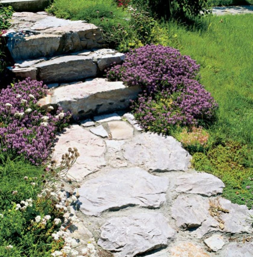 Nie ma tu żadnych roślin, które nie rosłyby dziko w okolicy. Dzięki temu ogród wygląda naturalnie.