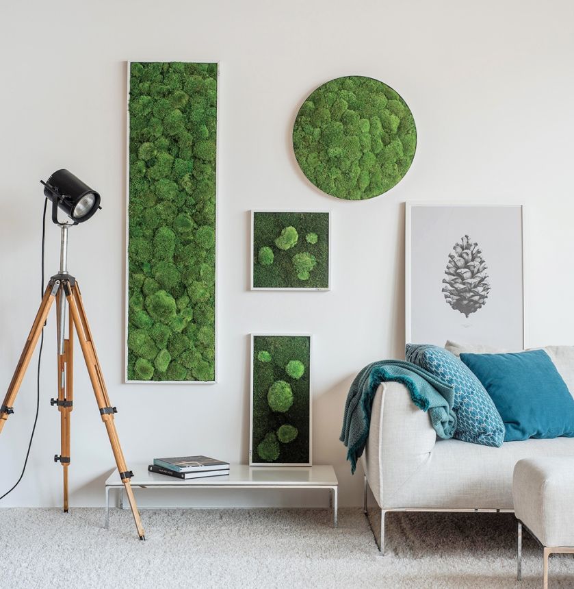 Obrazy z porostów mogą mieć różne kształty, a rośliny – różne odcienie, stylegreen.de