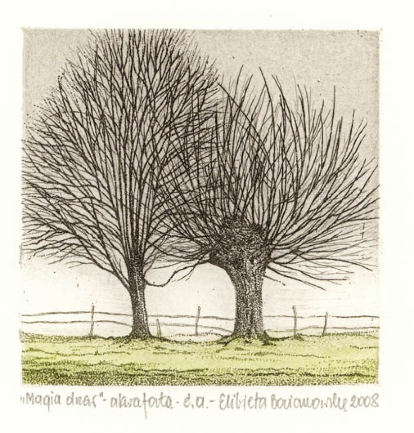 Elżbieta Bocianowska. Pod wspólnym dachem