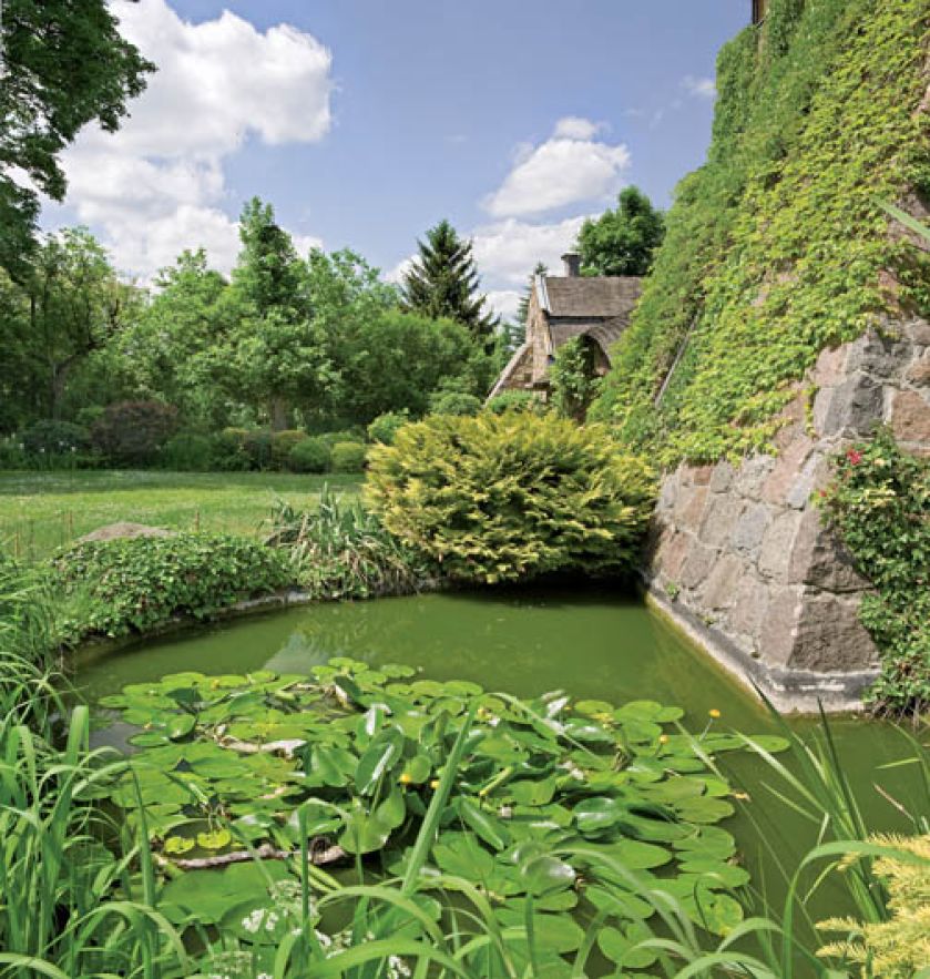 Równiutko wystrzyżony trawnik i dzika łąka.