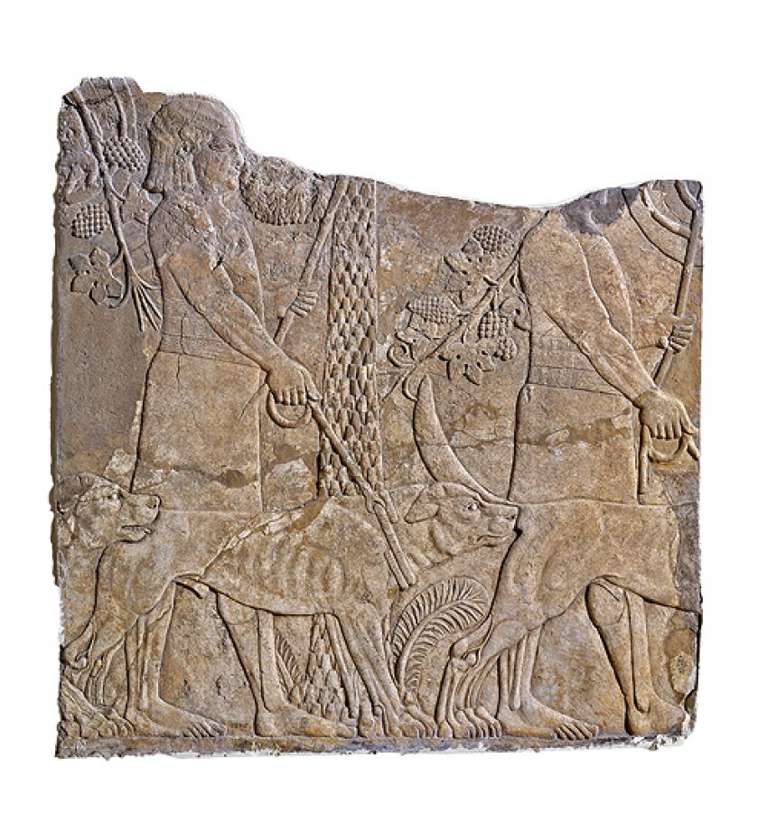 Klejnoty Mezopotamii. Klejnoty Mezopotamii