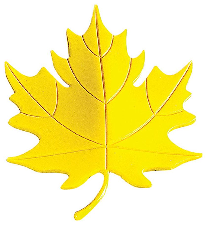 Kosztuje 9,90 zł. LEROY MERLIN. Jesienne inspiracje