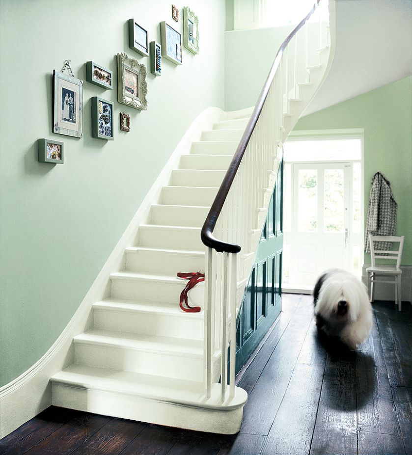 Do holu farba Fusion Satin za 45 zł/l, DULUX