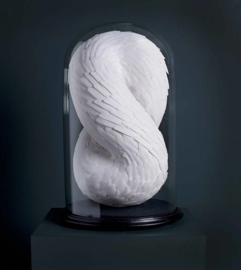 Dekoracje z piór, Kate MccGwire, katemccgwire.com