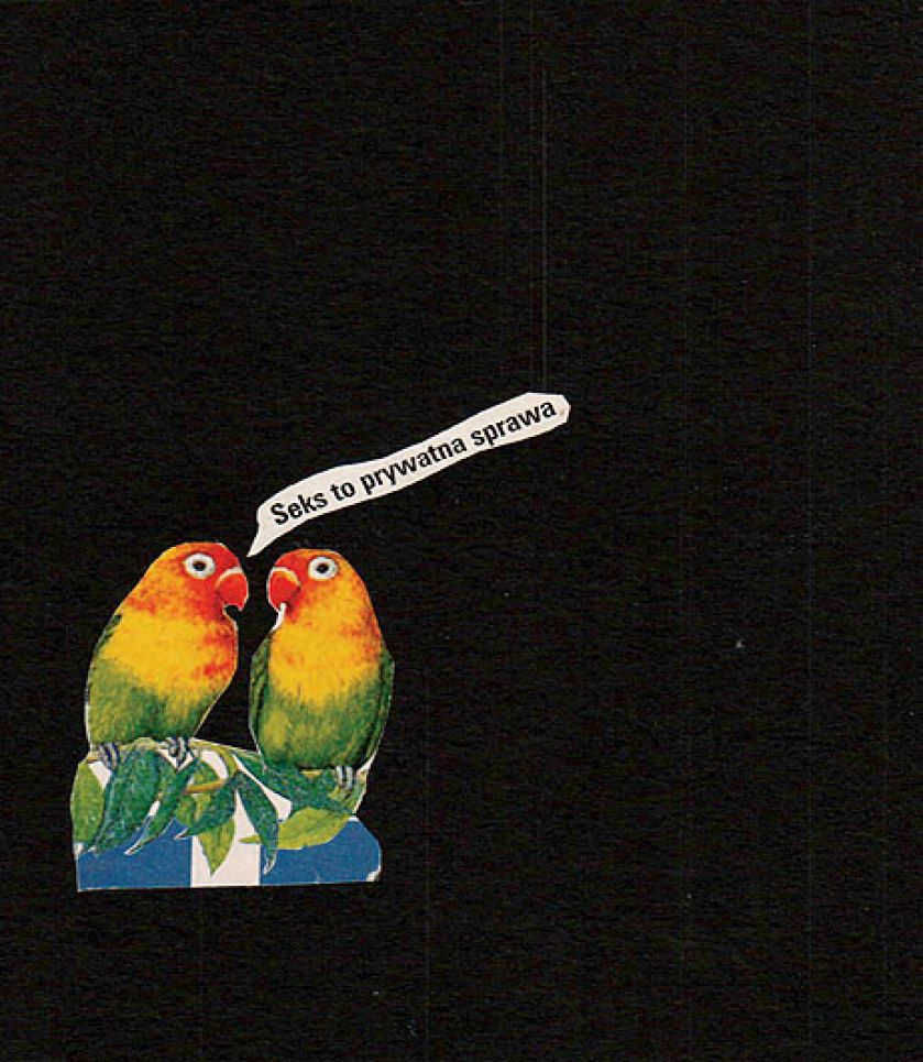 Wyklejanki Wisławy Szymborskiej