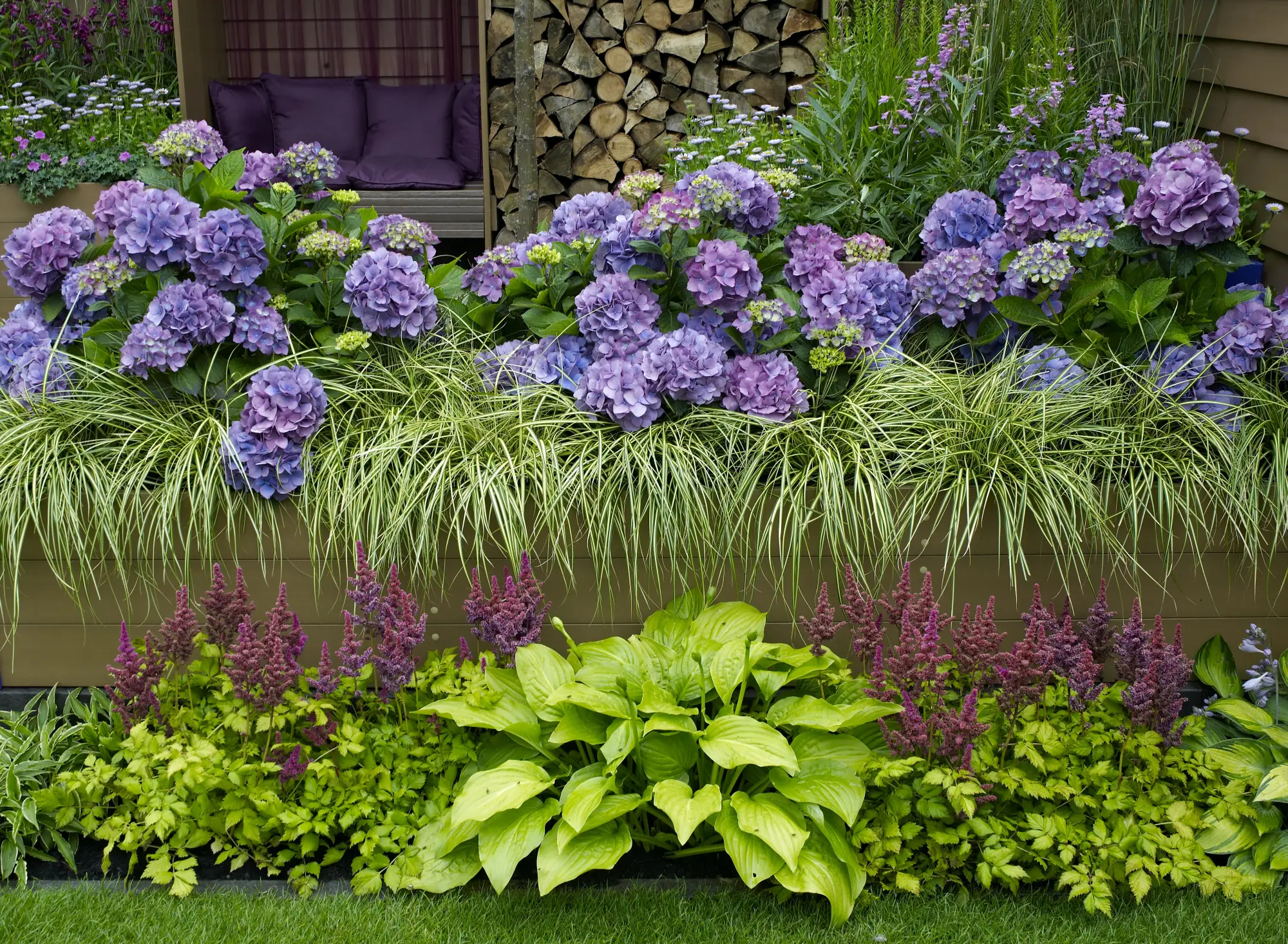 najlepsze kwiaty na rabaty przed domem