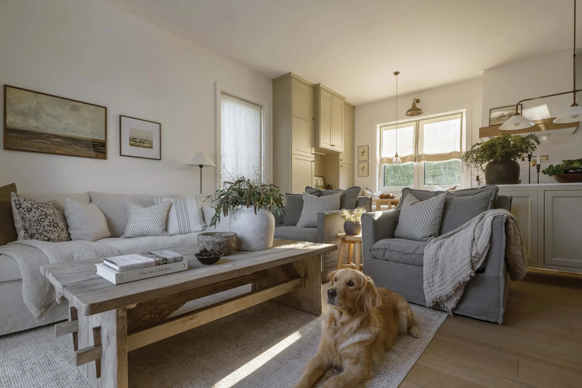 salon modern farmhouse